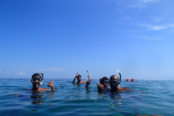 Full Day Cahuita Snorkel And Sloth Sanctuary from Puerto Viejo de Limón - Photo 1 of 5